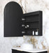 LED Archie Shaving Cabinet Black Oak 900 x 600mm Otti Australia