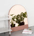 Mira Arched Mirror Warranbrooke